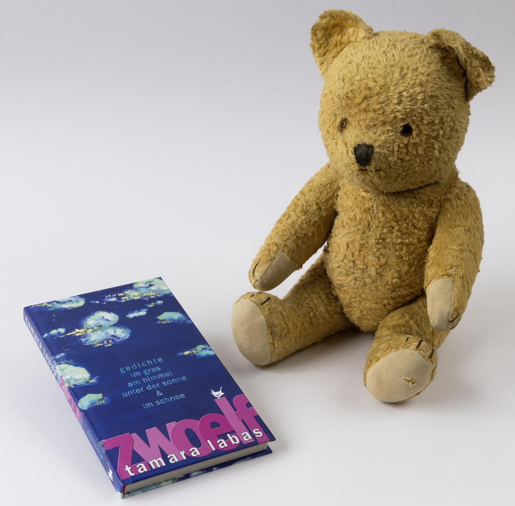 Das Foto zeigt ein blaues Buch und einen Stoff-Teddybär
